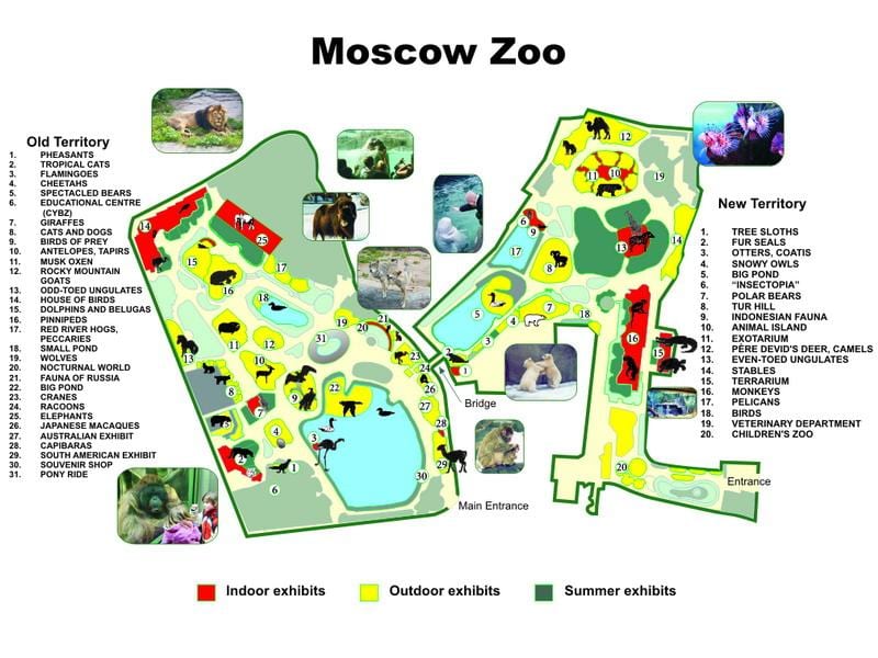зураг Москвагийн амьтны